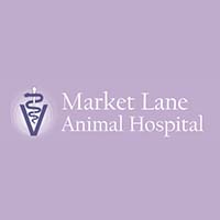 Market Lane Animal Hospital - 140 Woodbridge Ave, Unit Bu1, Woodbridge, ON  L4L 4K9 